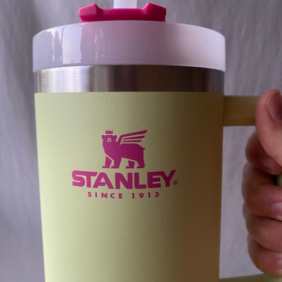 Neon Green and Fuchsia Pink Stanley Cup with Cactus Boot - Picture 13 of 14